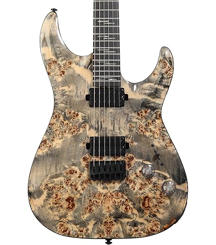 Amazon.com: Schecter Sun Valley Super Shredder Exotic FR Electric
